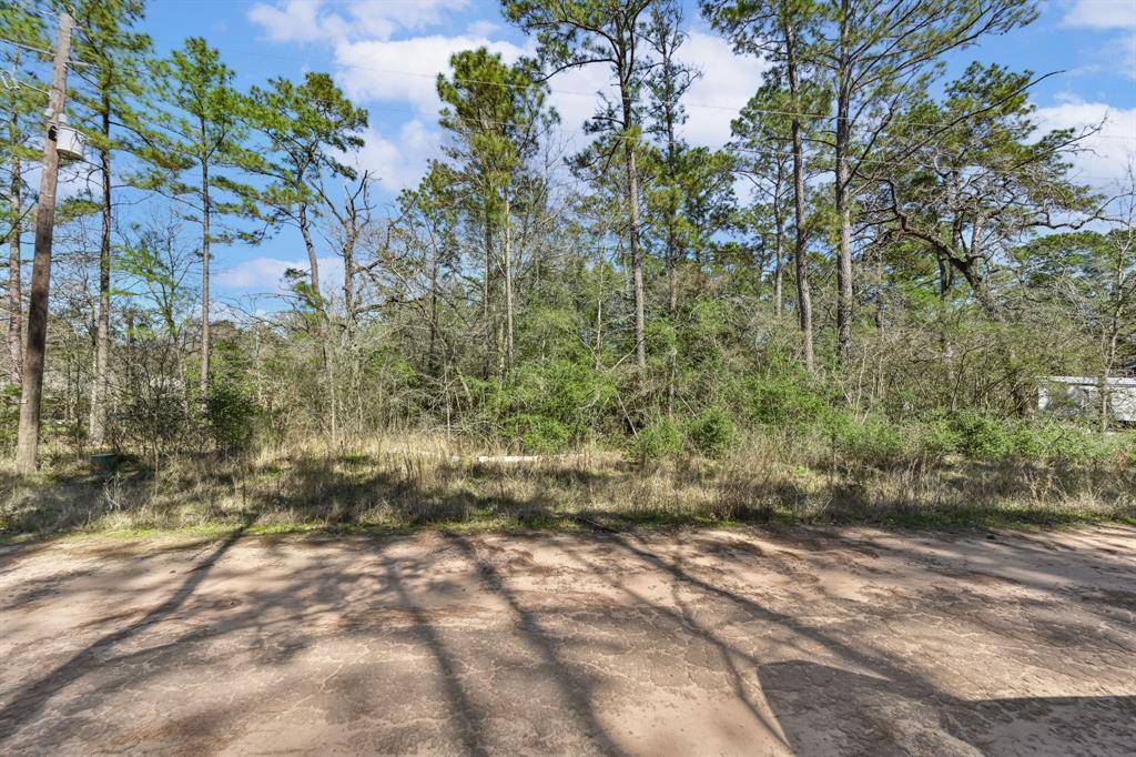 Plantersville, TX 77363,N/A Blue Lake DR