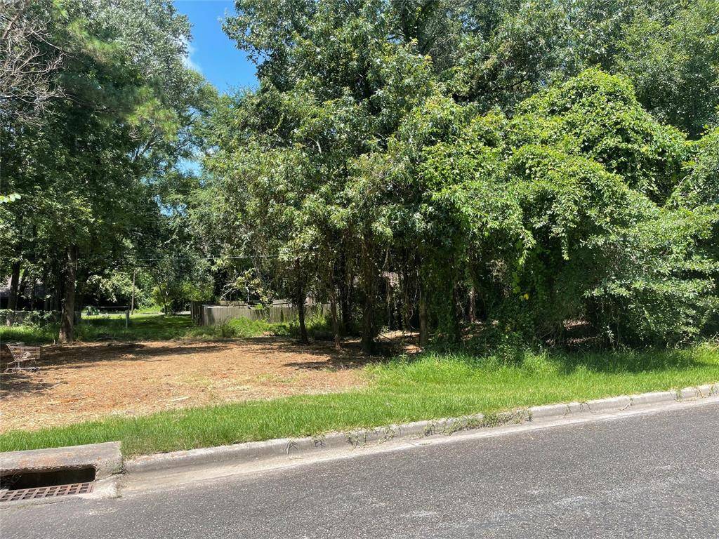 Livingston, TX 77351,Lot 20 Brinwood