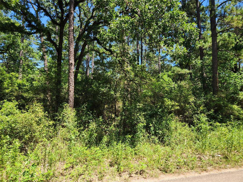 Plantersville, TX 77363,Lot 69 Pinebrook DR