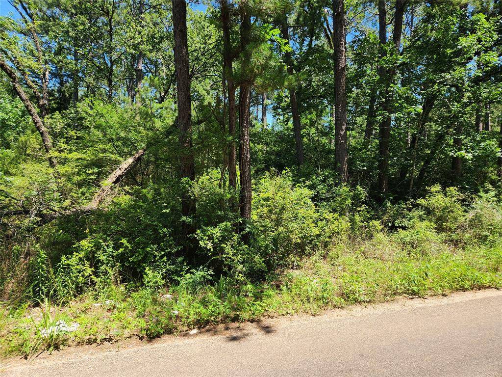 Plantersville, TX 77363,Lot 69 Pinebrook DR