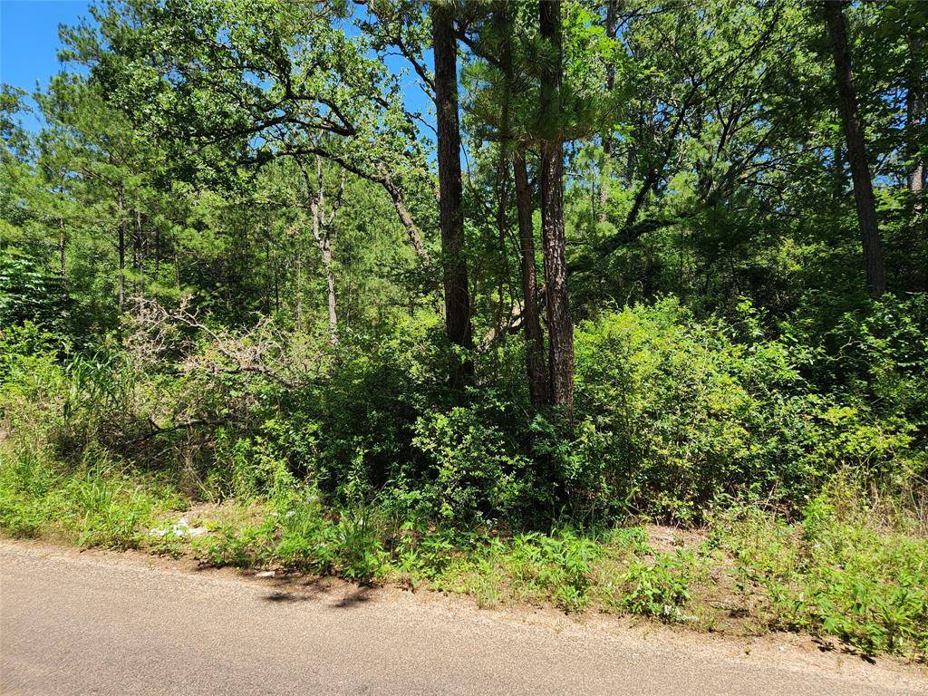 Plantersville, TX 77363,Lot 69 Pinebrook DR