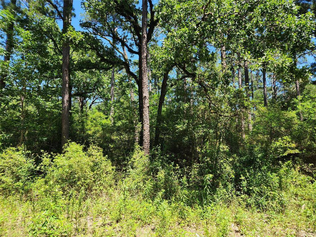 Plantersville, TX 77363,Lot 69 Pinebrook DR