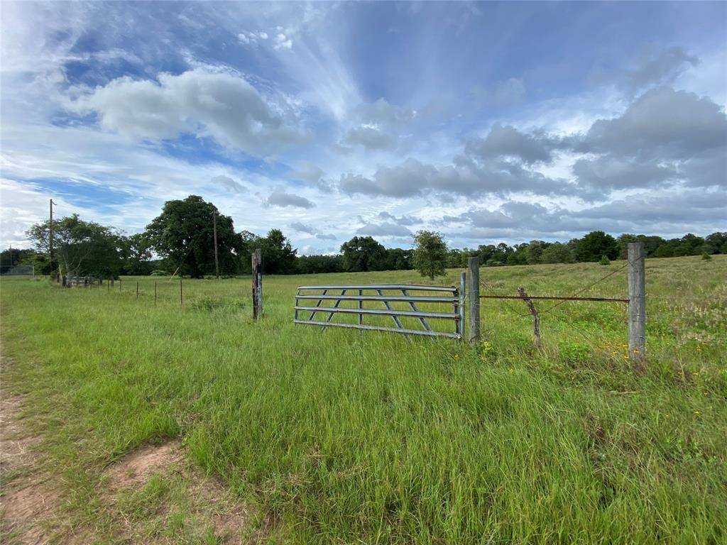 Grapeland, TX 75844,TBD Private Road 5215