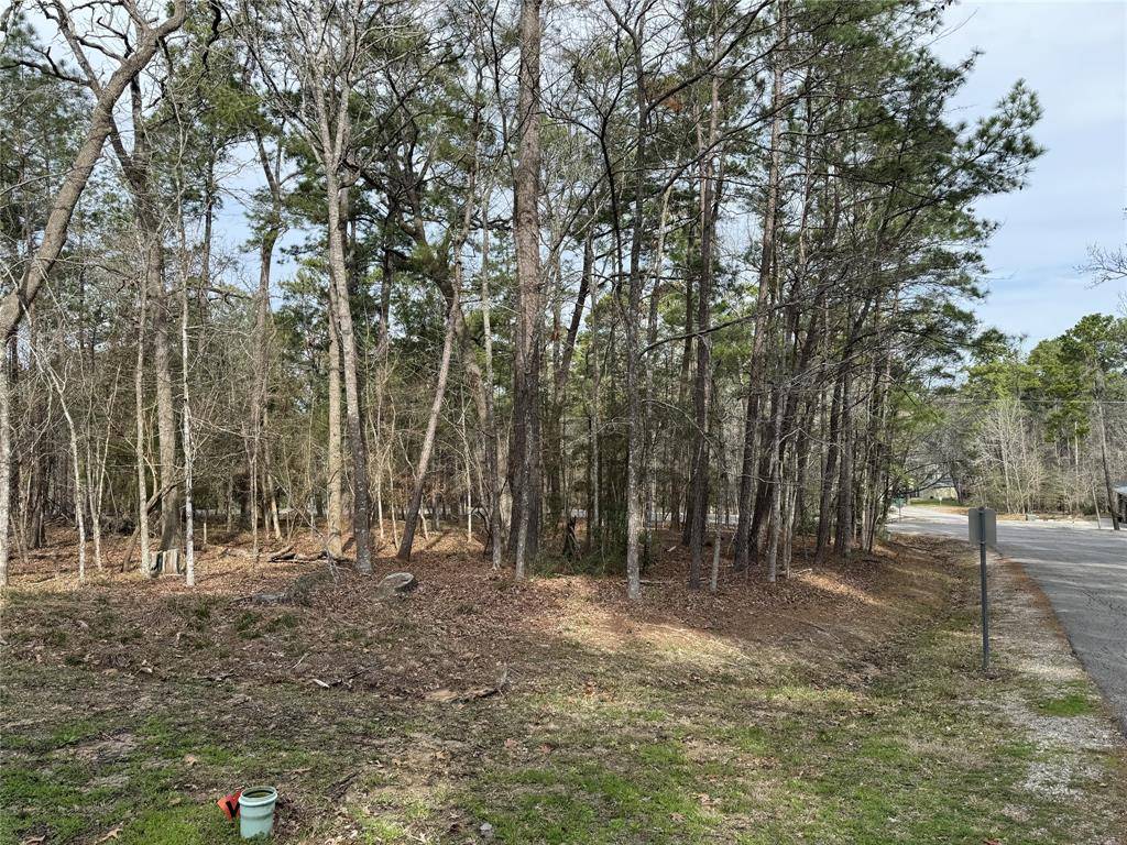 Coldspring, TX 77331,91 S Fairway LOOP