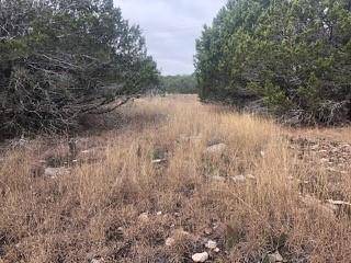 Spring Branch, TX 78070,0 Tbd