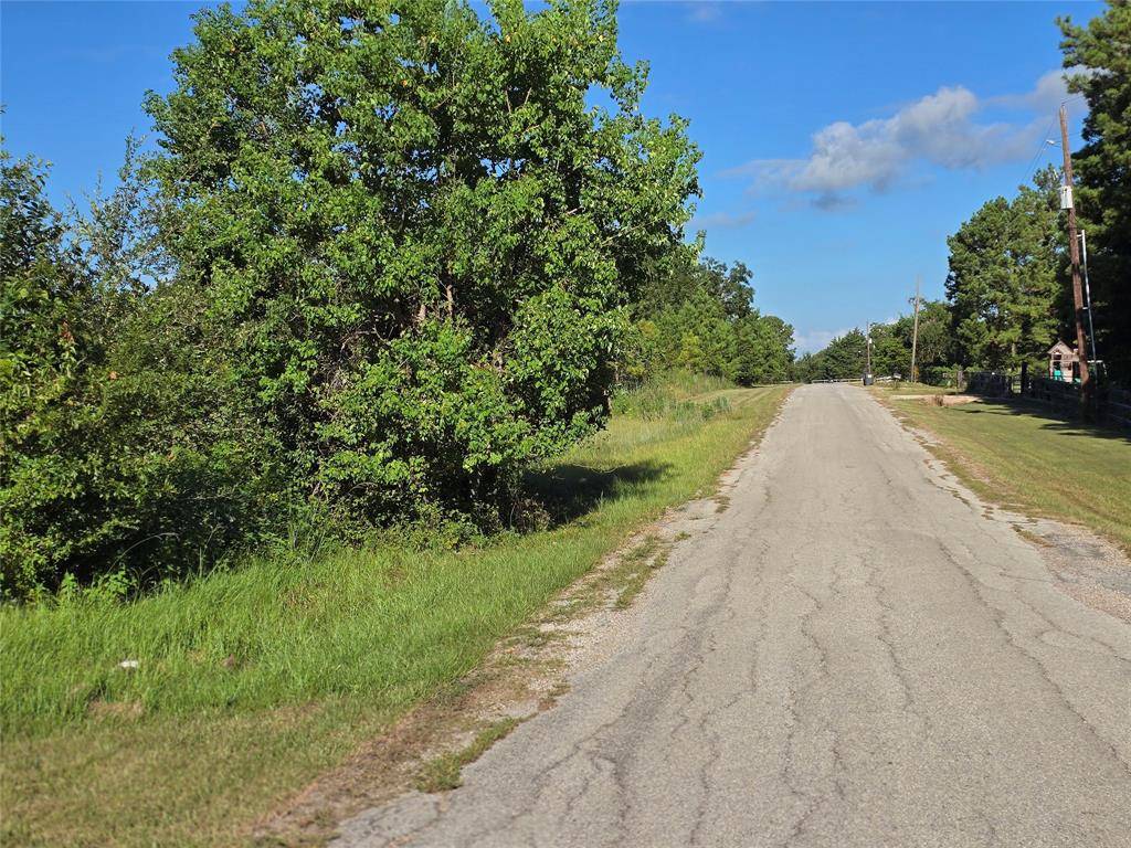 Willis, TX 77318,Lot 9 Lewis Creek CIR