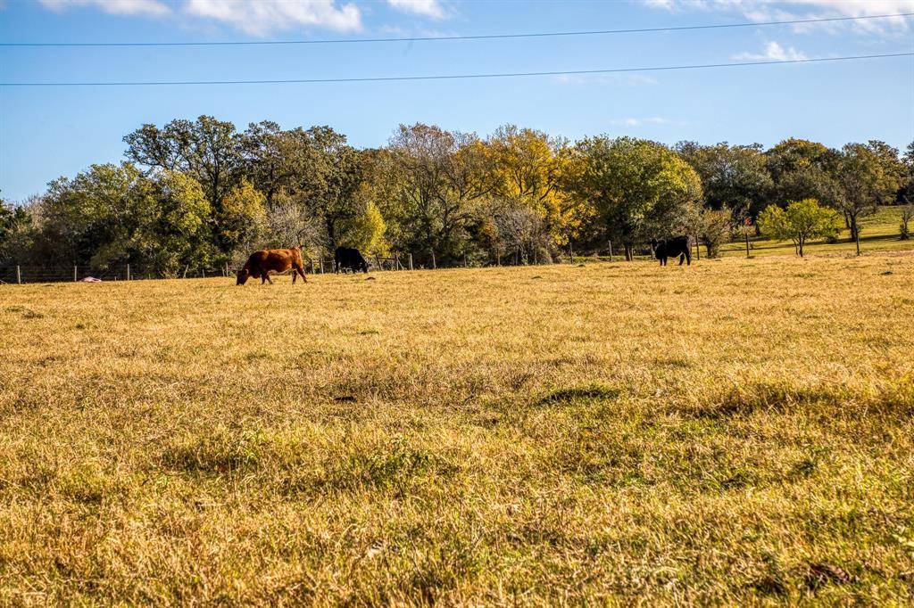 Bellville, TX 77418,2806 Old Highway 36