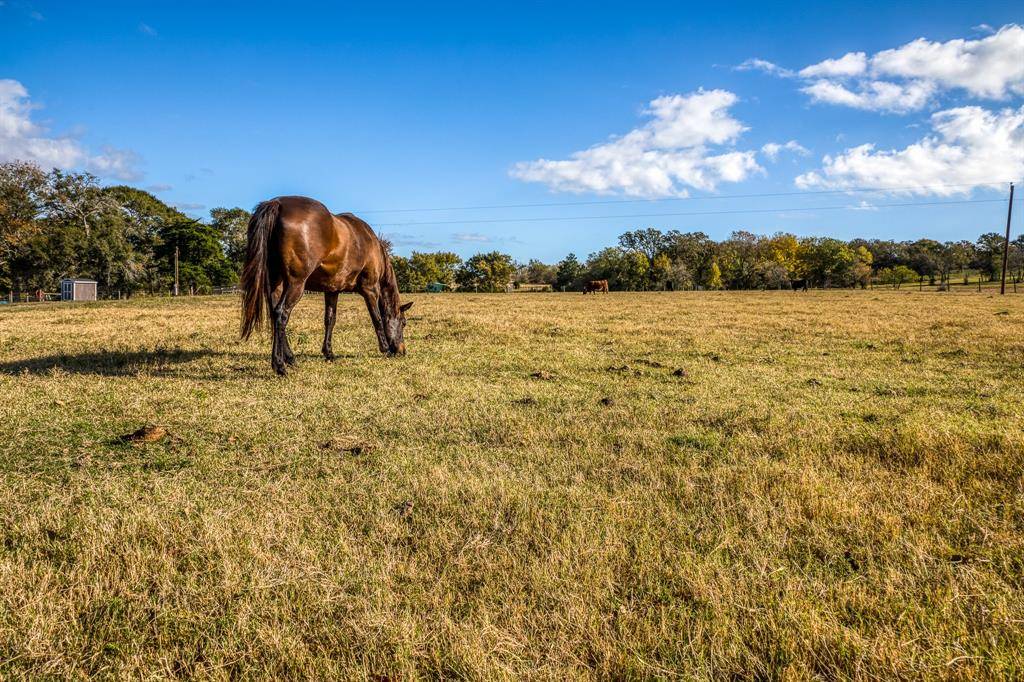 Bellville, TX 77418,2806 Old Highway 36