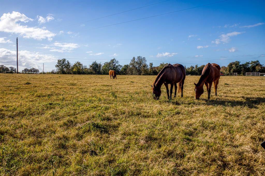 Bellville, TX 77418,2806 Old Highway 36