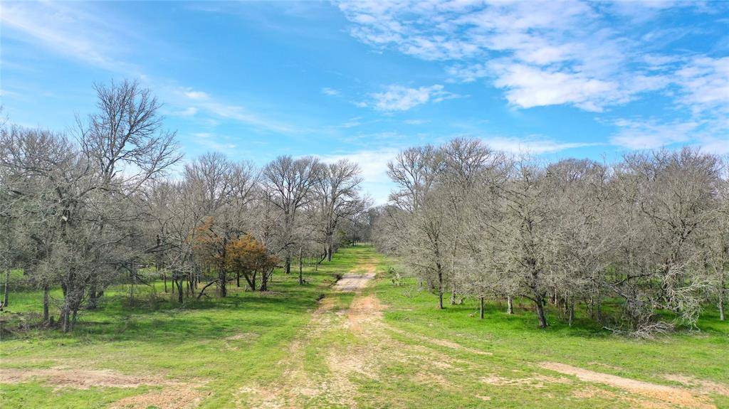 Paige, TX 78659,TBD County Road 203