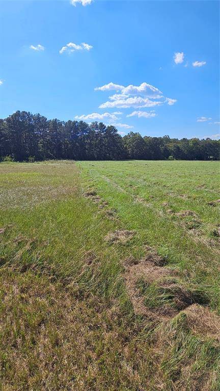 New Waverly, TX 77358,TBD Hawthorne RD N
