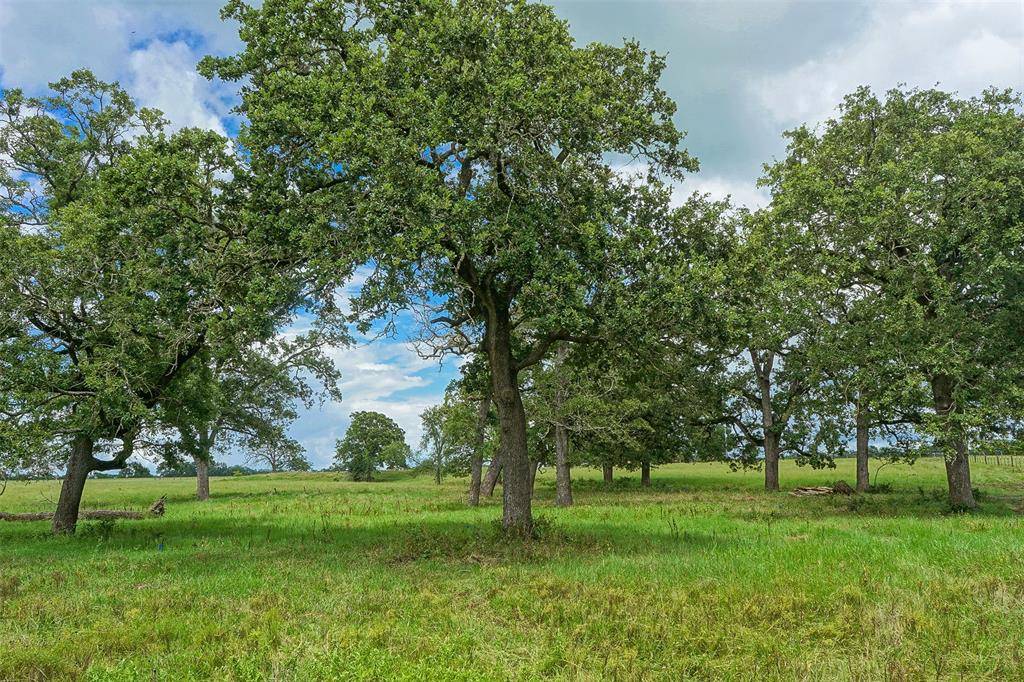 North Zulch, TX 77872,15.289 Acres Highway 21