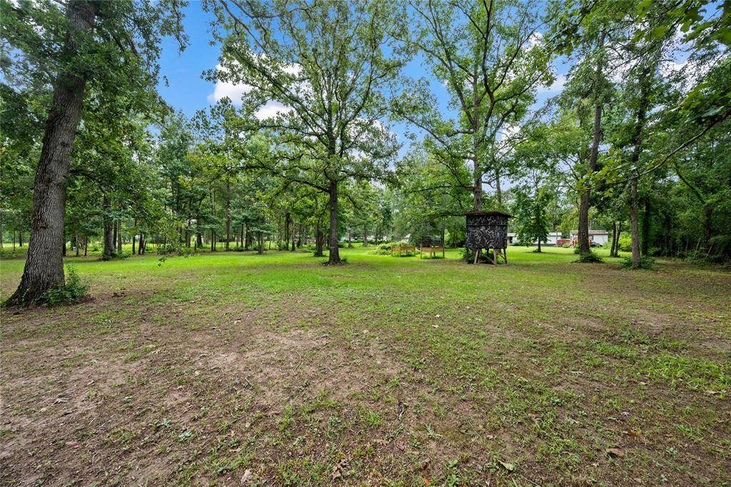 Conroe, TX 77303,12203 Day DR