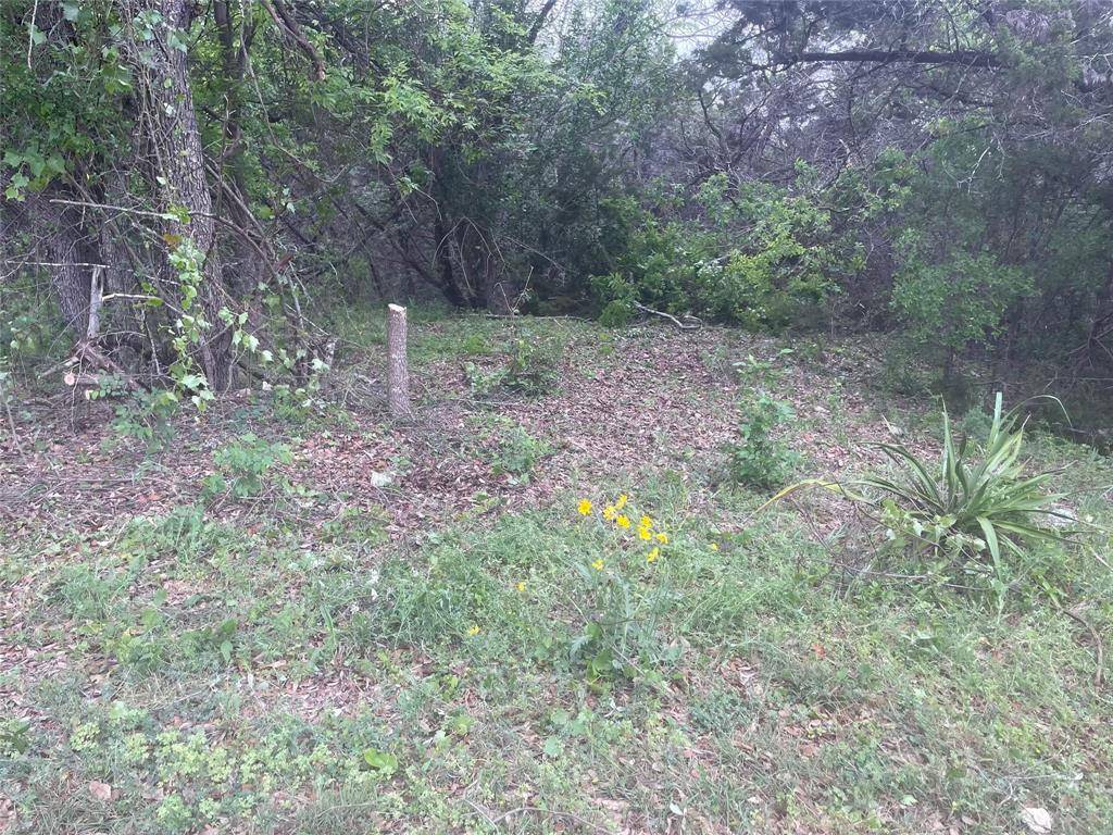 Spring Branch, TX 78070,1120 Zane Grey LN