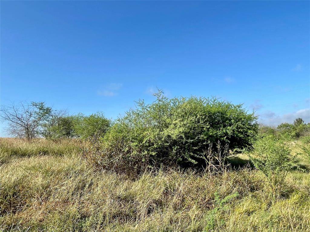 Gonzales, TX 78629,Lot 14 Cannon North DR