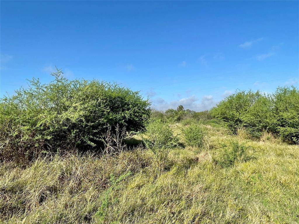 Gonzales, TX 78629,Lot 14 Cannon North DR