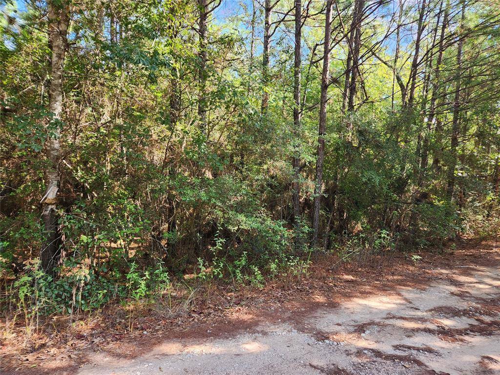 Plantersville, TX 77363,Lot 17 Tawnyberry LN