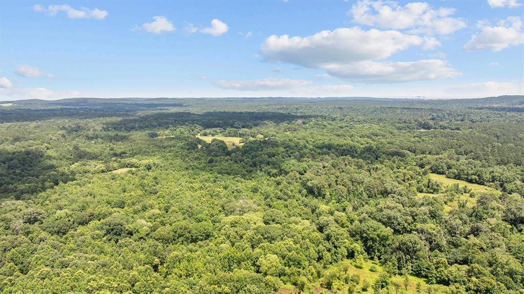 Rusk, TX 75785,1546 County Road 2214