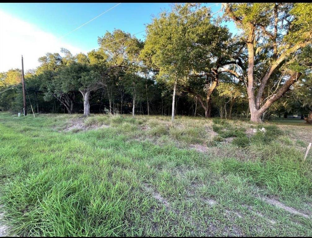 Angleton, TX 77515,1143 Bronco TRL