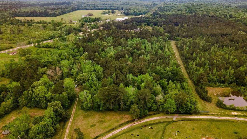 Batson, TX 77519,TBD Shaw RD