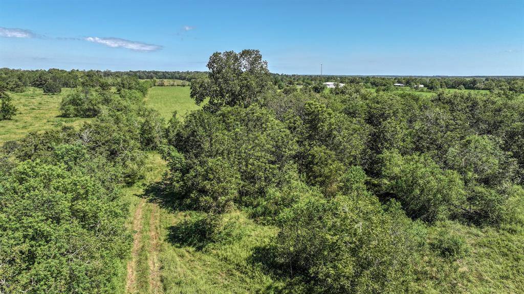 Dayton, TX 77635,TBD TBD County Road 6243