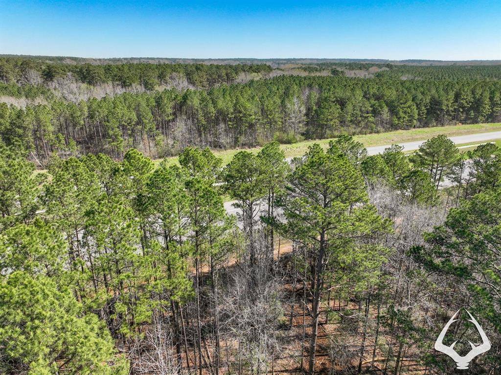 Huntington, TX 75949,TBD 2 US HWY 69