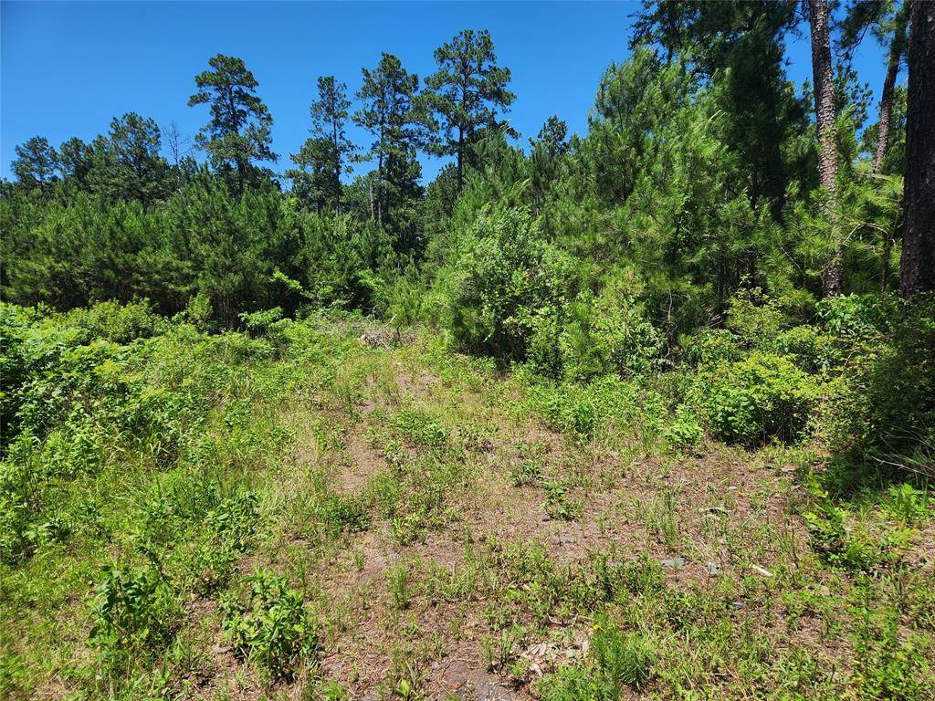 Plantersville, TX 77363,Lot 11 Cherry Tree LN