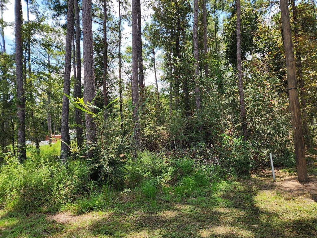 Plantersville, TX 77363,Lot 7 Coral Bean LN