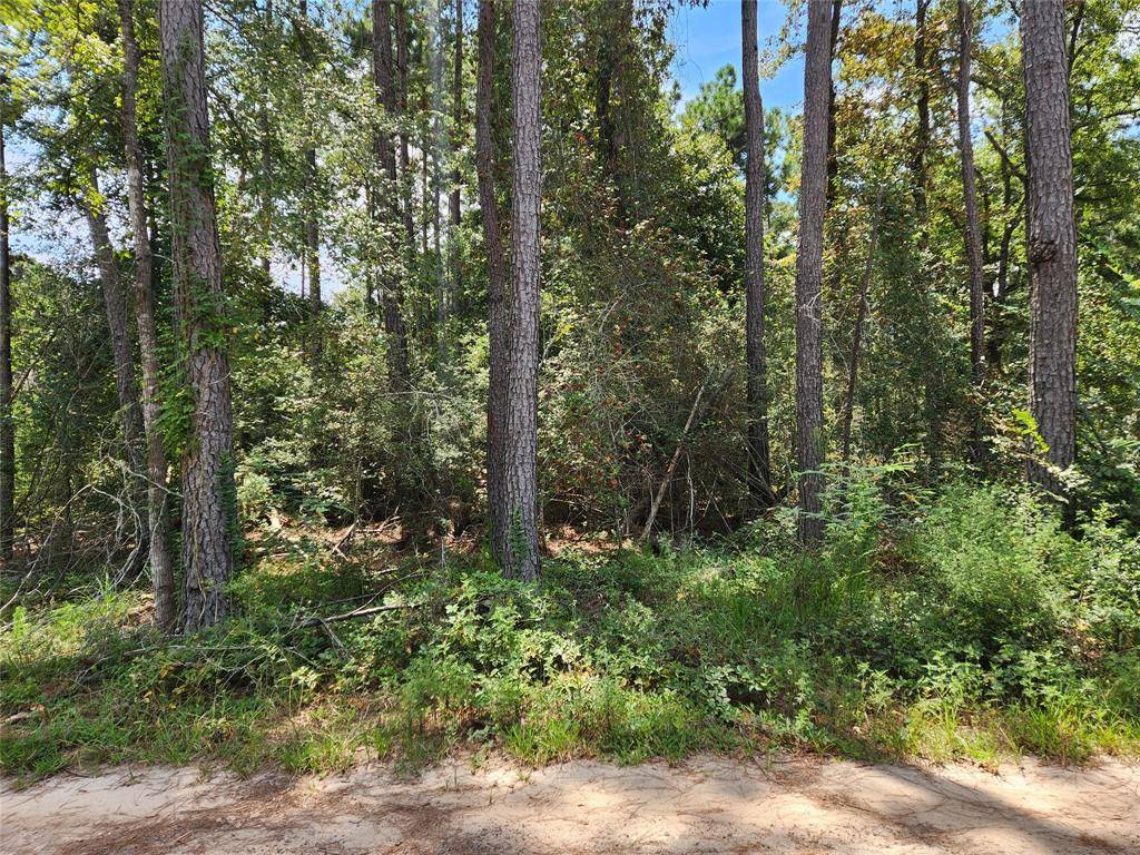 Plantersville, TX 77363,Lot 7 Coral Bean LN