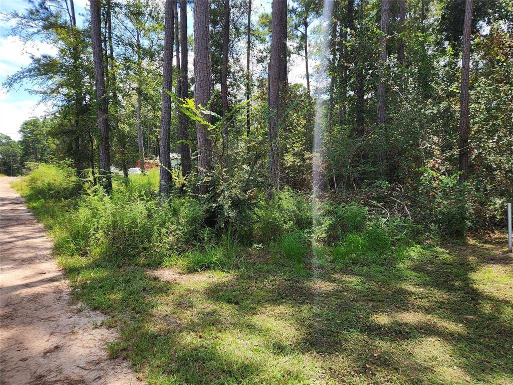 Plantersville, TX 77363,Lot 7 Coral Bean LN