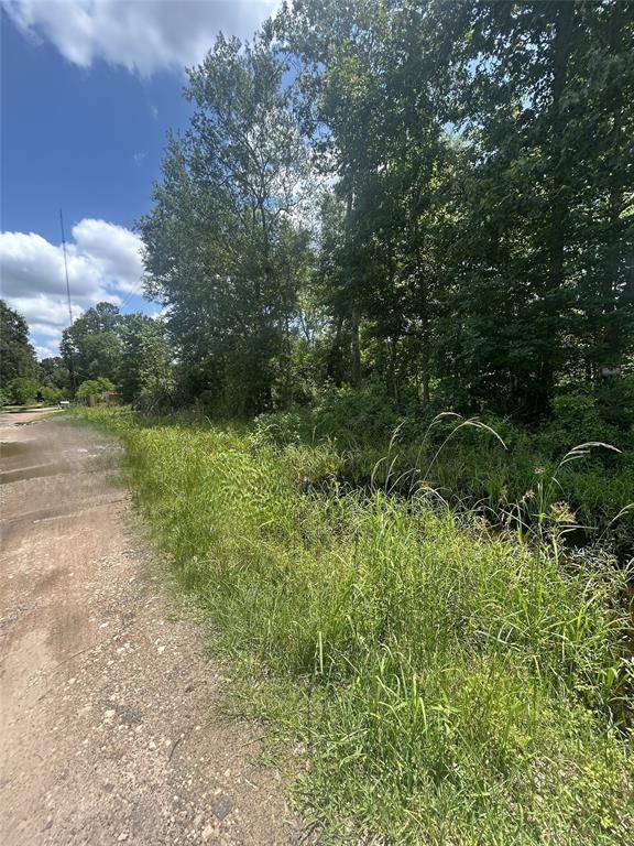 Splendora, TX 77372,27392 Apache ST