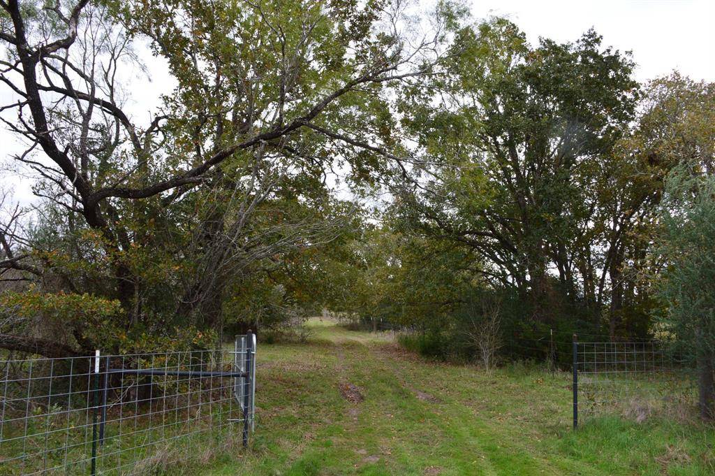 Iola, TX 77861,00020 Fawn Oaks TRL