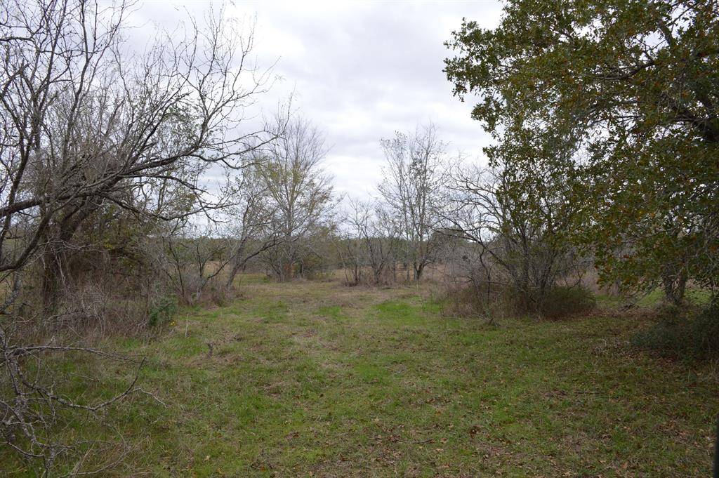 Iola, TX 77861,00020 Fawn Oaks TRL