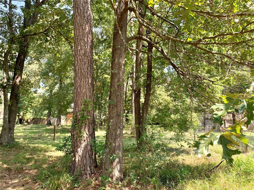 New Caney, TX 77357,LOT 53 Dunn ST