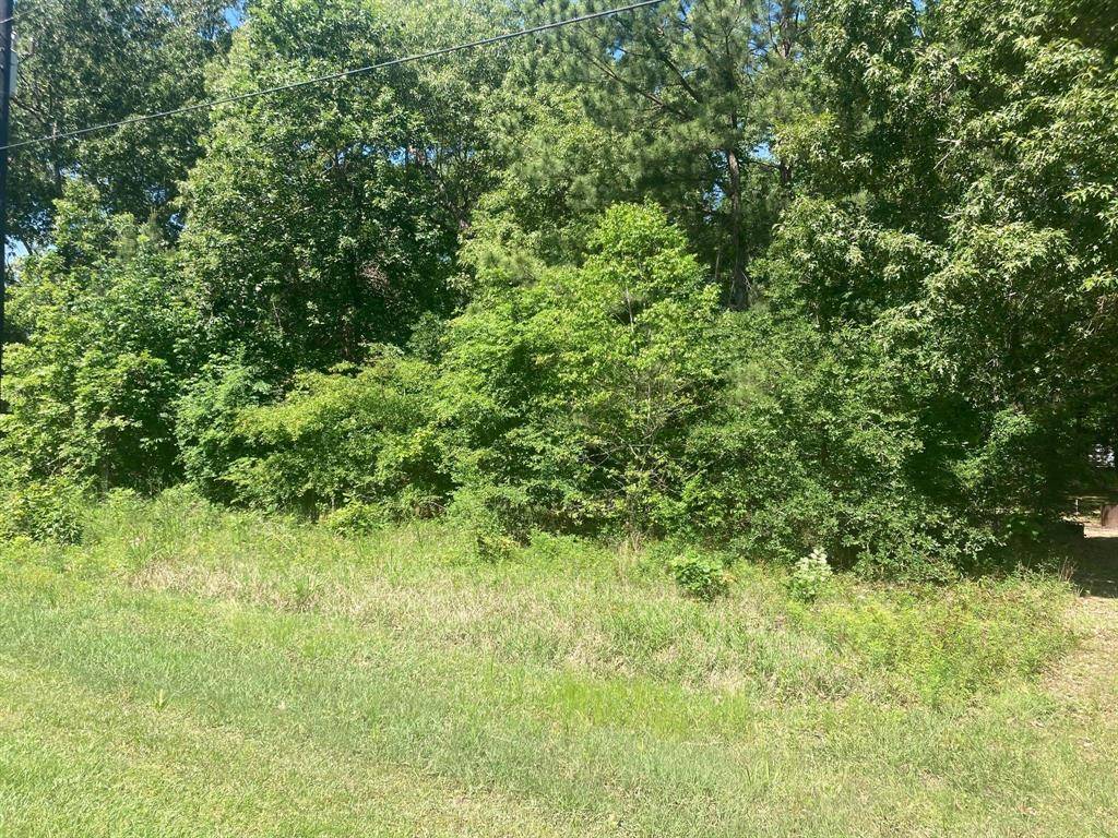 Point Blank, TX 77364,Lot 20 Tobago LN