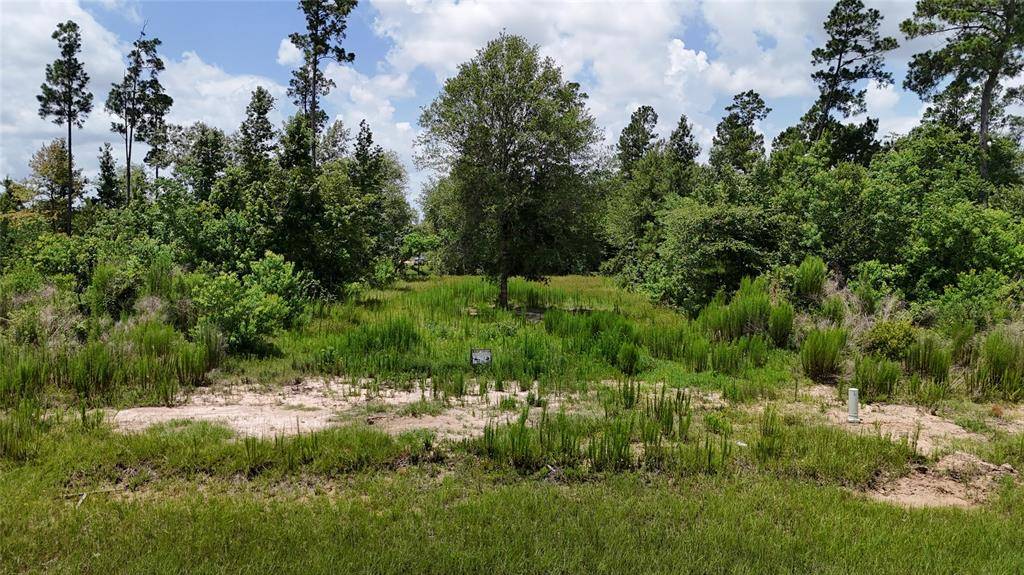 Cleveland, TX 77327,229 Road 5913