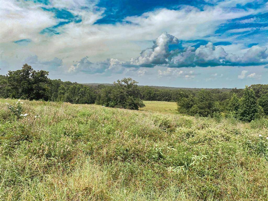 Buffalo, TX 75831,5913 E US Highway 79
