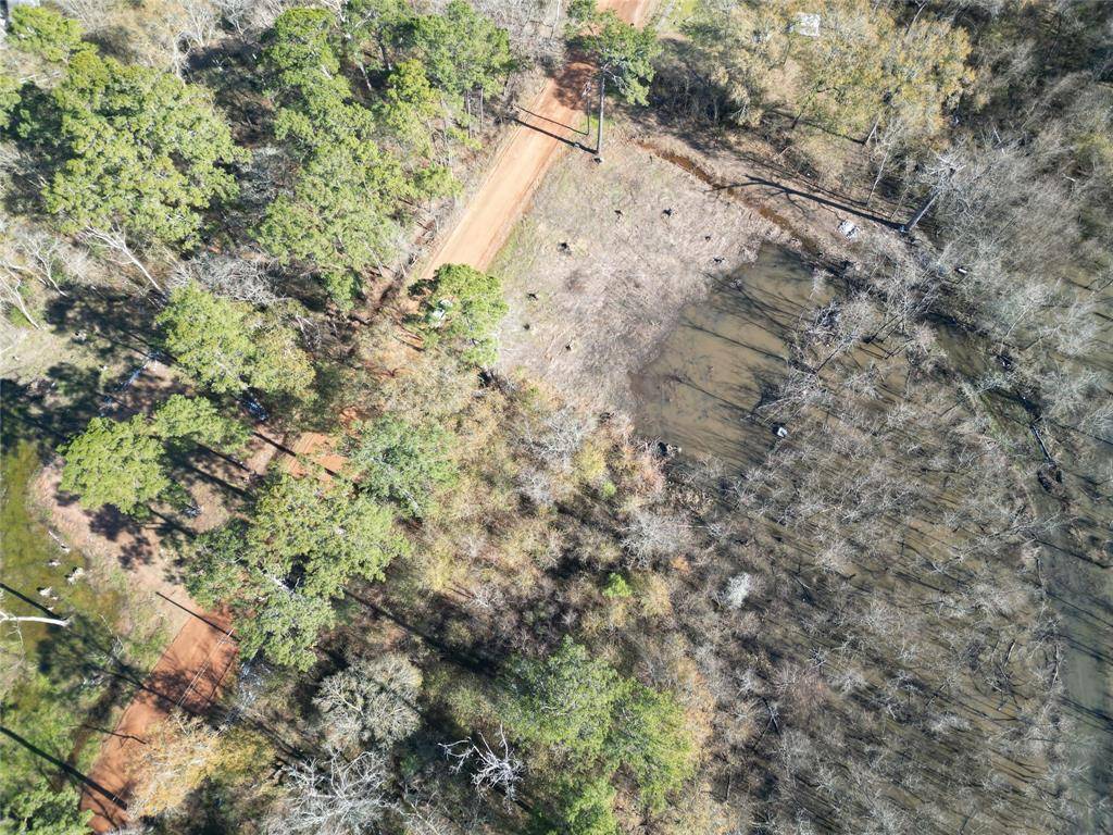 Plantersville, TX 77363,11326 Oakwood DR
