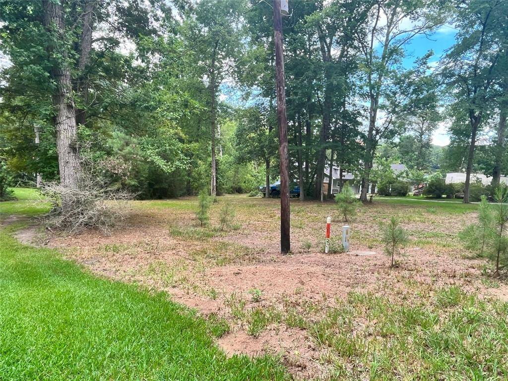 Coldspring, TX 77331,TBD Little Creek DR