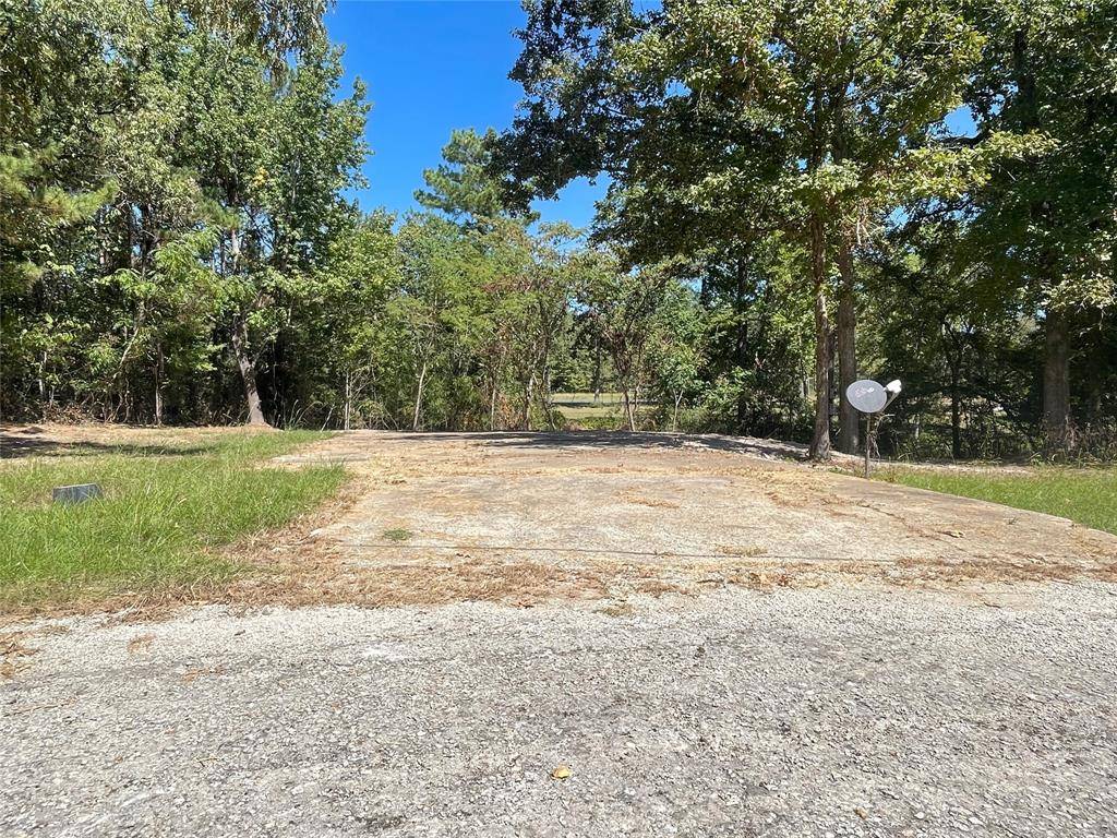 Trinity, TX 75862,TBD Fern LN