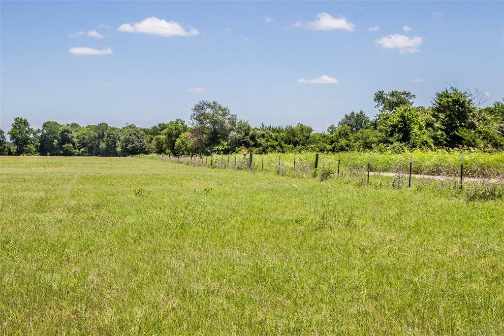 Caldwell, TX 77836,11890 County Road 318