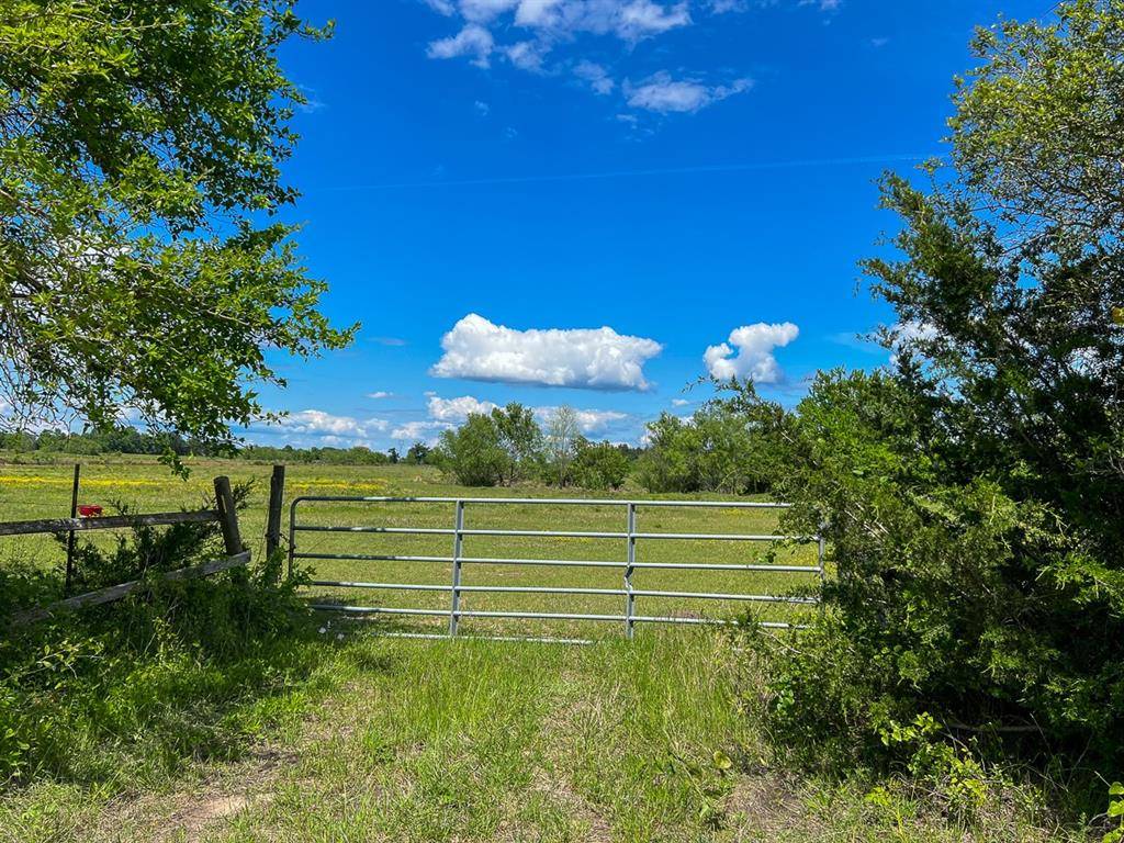 Lovelady, TX 75851,00 County Road 3555