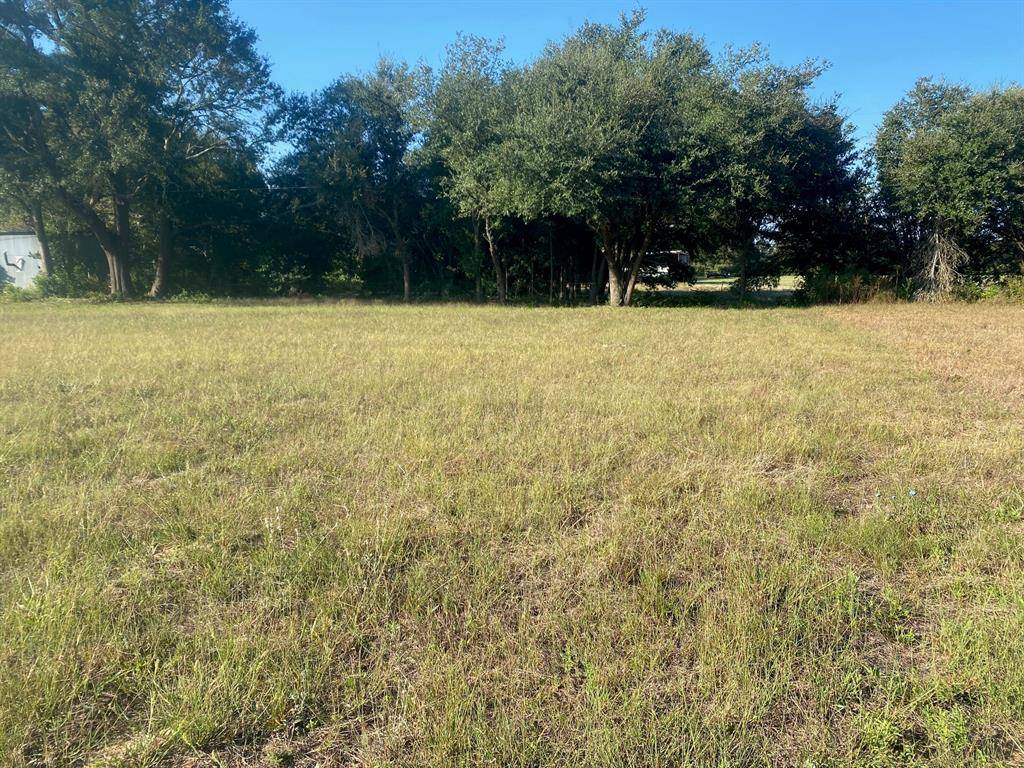 Grapeland, TX 75844,TBD Gregory CIR