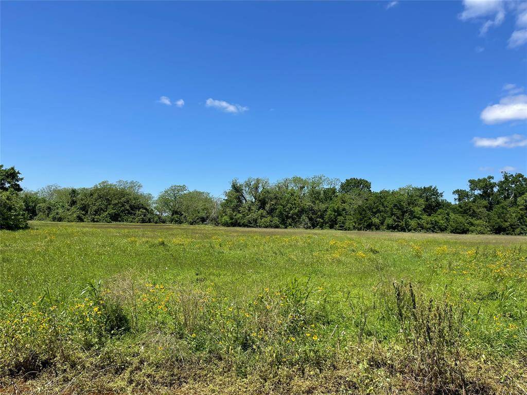 Wharton, TX 77488,TBD County Road 245