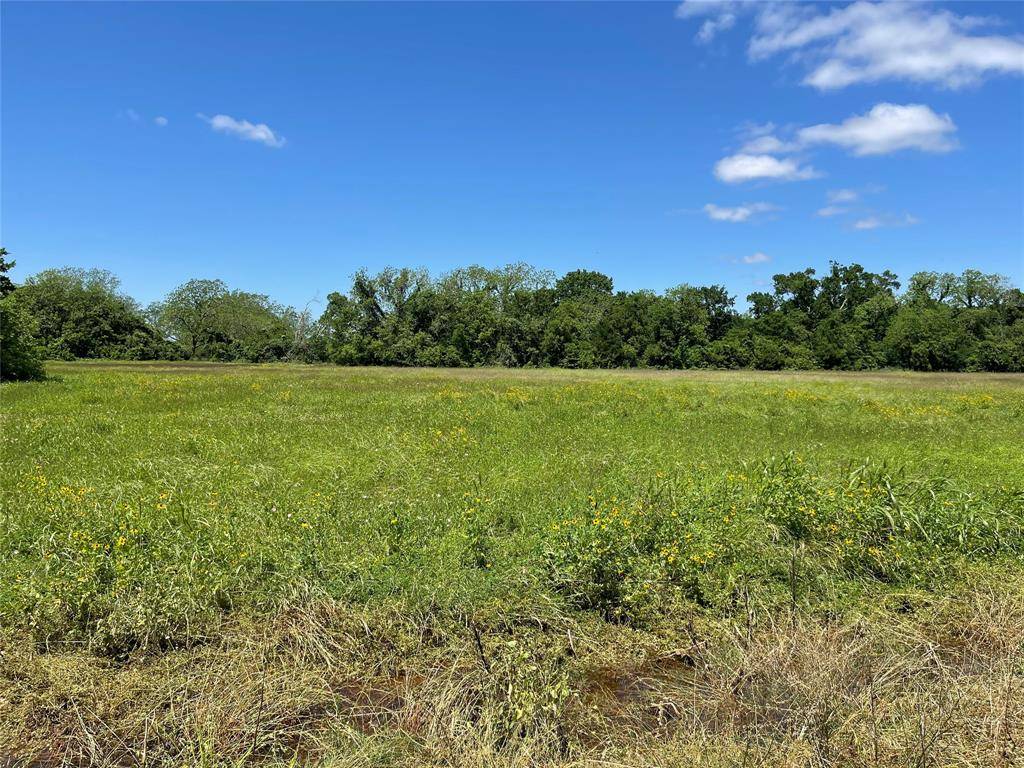 Wharton, TX 77488,TBD County Road 245