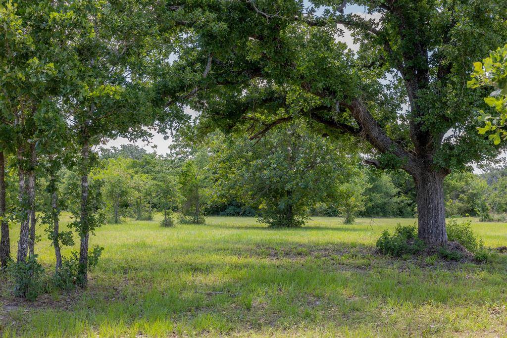 Bedias, TX 77831,6748 Atakapan Trail
