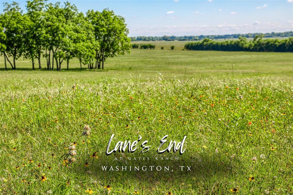 Washington, TX 77880,00 Flat Prairie RD