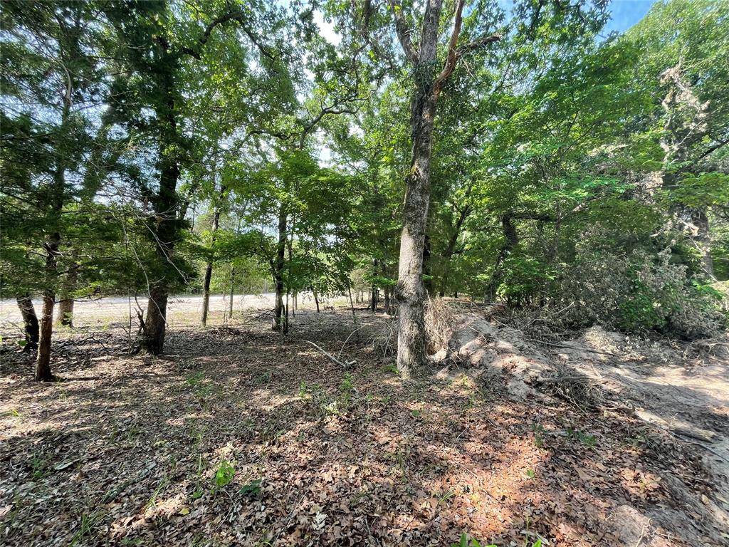 Fairfield, TX 75840,TBD Tract 7 FM 3285