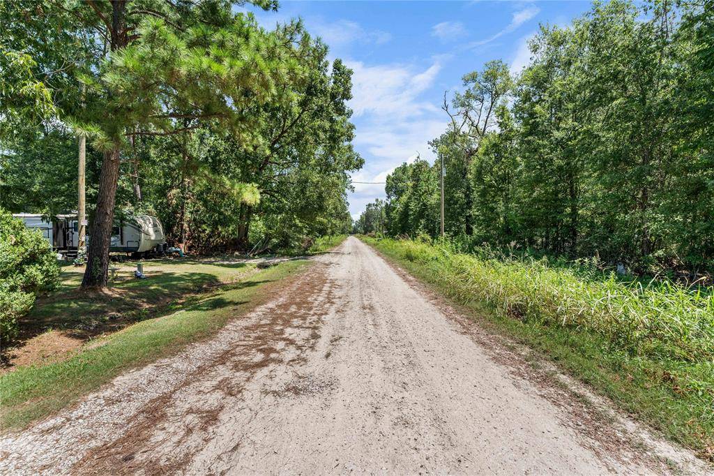 Livingston, TX 77351,0 Wisteria DR