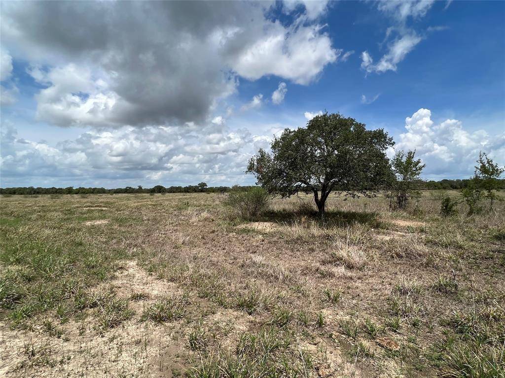 El Campo, TX 77437,Tract 8 FM 2546